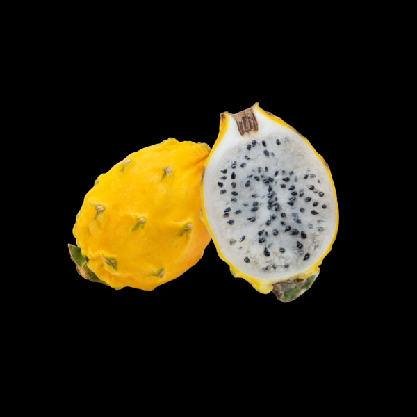 palora yellow dragon fruit variety