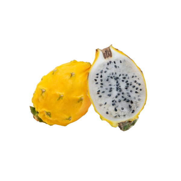 palora dragon fruit variety